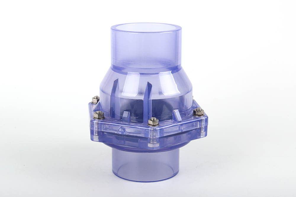 九湖镇透明翻板式止回阀